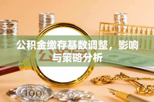 龙山公积金缴存基数调整，影响与策略分析