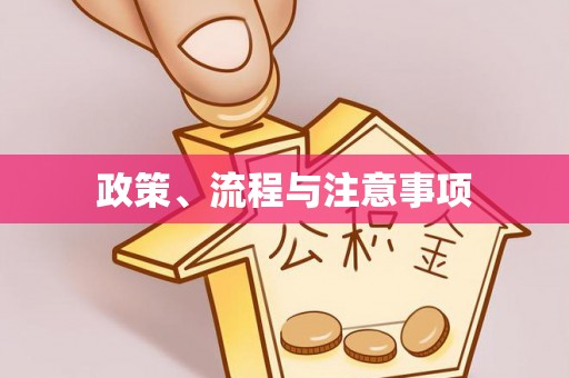 龙山政策、流程与注意事项