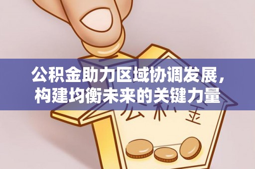 龙山公积金助力区域协调发展，构建均衡未来的关键力量