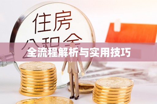 龙山全流程解析与实用技巧