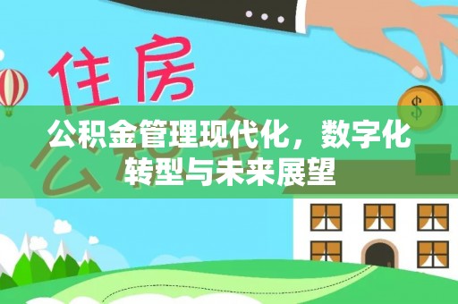龙山公积金管理现代化，数字化转型与未来展望