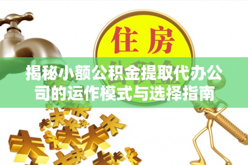 龙山揭秘小额公积金提取代办公司的运作模式与选择指南