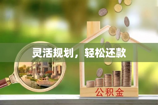 龙山灵活规划，轻松还款