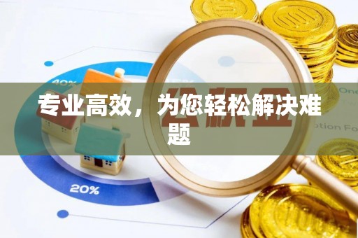龙山专业高效，为您轻松解决难题