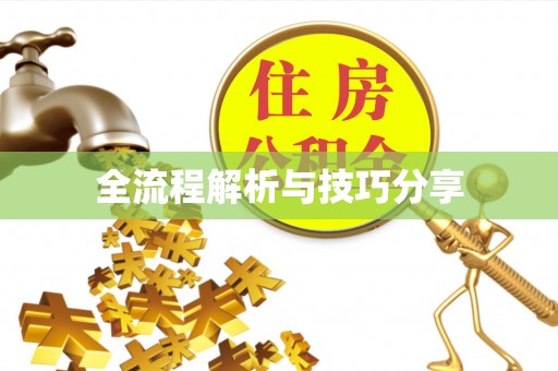 龙山全流程解析与技巧分享
